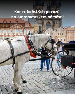 Rada hlavního města Prahy schválila výpověď nájemní smlouvy Cechu fiakristů, koňské povozy na Staroměstském náměstí a v centru města tak končí! 

Rada města se má ale brzy obměnit a na zákazu nepanuje politická shoda. Je tak potřeba dbát na to, aby se povozy do města znovu nevrátily. Koňské povozy zakazují i další velká evropská města -  a i Praha by měla zůstat v 21. století! 

#oneheart #welfare #vsichnimamejednosrdce #jsmevtomvsichnispolecne #animalwelfare