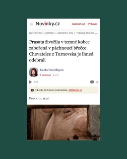 Prasata byla chovatelce ihned odebrána a předána do náhradní péče…
Takovéto případy ale nejsou ojedinělé 💔
Jedná se o systémový problém, který je třeba začít konečně razantně řešit! 
Protože  #vsichnimamejednosrdce 

 #oneheart #welfare #vsichnimamejednosrdce #jsmevtomvsichnispolecne 
@novinky.cz