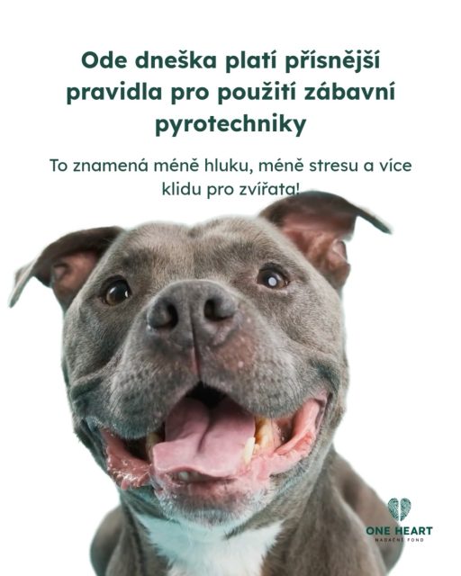 Od 1. prosince 2025 platí nová a přesnější pravidla pro pyrotechniku.Nejde jen o bezpečnost lidí — změny výrazně pomohou i zvířatům.❗️ Co se mění?• Pyrotechnika (mimo F1) je nově zakázaná v okruhu 250 m od útulků, záchranných stanic, ZOO, chovů hospodářských zvířat i dalších citlivých míst.• Přísnější pravidla pro prodej — většinu pyrotechniky koupíte už jen ve specializovaných prodejnách, některé kategorie už vůbec ne online.• Vyšší kategorie smí používat jen odborně způsobilé osoby.🐾 Proč je to důležité?Méně výbuchů = méně stresu, paniky a zranění u domácích i volně žijících zvířat.Hluk ohňostrojů může u zvířat vyvolat paniku, šok, dezorientaci a pro některá zvířata to může být i fatální.#oneheart #vsichnimamejednosrdce #welfare #jsmevtomvsichnispolecne #animalwelfare #pyrotechnika #dobrezpravy
