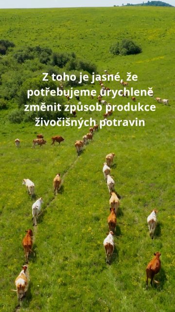 Lepší welfare je zásadní nejen pro zdraví a spokojenost zvířat, ale také pro naši planetu. 🐄🌍 #oneheart #welfare #vsichnimamejednosrdce #animalwelfare #jsmevtomvsichnispolecne