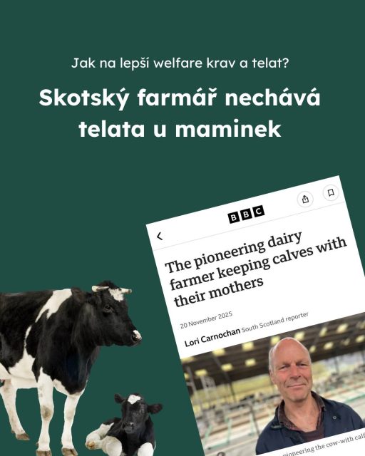 Pojďme společně hledat cesty a další pozitivní příběhy, jak zlepšovat welfare hospodářských zvířat. 🐄Článek "The pioneering dairy farmer keeping calves with their mothers" publikovala BBC.  #oneheart #welfare #vsichnimamejednosrdce #jsmevtomvsichnispolecne #animalwelfare