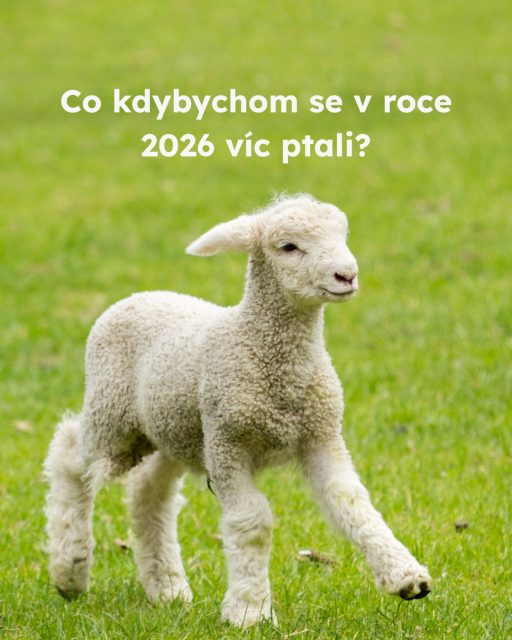 Pojďme se v příštím rokem víc ptát. Jen tak můžeme v novém roce dosáhnout změny 💚 #oneheart #welfare #vsichnimamejednosrdce #jsmevtomvsichnispolecne #konecdobyklecové #animalwelfare