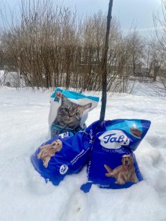 Hodně z našich aktivit není “instagram-friendly” a spočívá i v hodinách rešeršování nebo zabýváním se legislativními a systémovými problémy. 

Co s vámi ale můžeme sdílet je, že @adela_knapova naskladnila do svého kufru spoustu krmiva pro psy a kočky, na které také krutě dopadá válka na Ukrajině.

Pokud chcete přispět, můžete tak učinit přes náš fond - na našem webu (odkaz v biu) najdete náš transparentní účet. Do popisku platby dejte “Ukrajina”. 

#vsichnimamejednosrdce