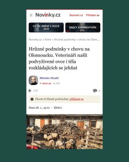 Další příklad toho, že potřebujeme systémovou změnu. Protože #vsichnimamejednosrdce 

Živé ovce byly majiteli odebrány a nyní je má v péči jiný chovatel. 

@novinky.cz 

 #oneheart #welfare #jsmevtomvsichnispolecne #animalwelfare