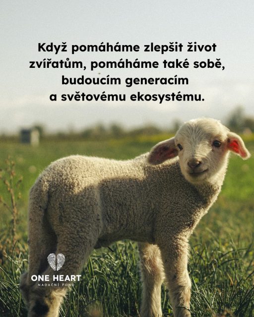 Zajímat se o welfare neznamená řešit jen lepší životní podmínky zvířat, ale lepší životní podmínky nás všech. #vsichnimamejednosrdce #oneheart #welfare #jsmevtomvsichnispolecne #animalwelfare
