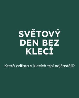 Dnes je světový den bez klecí! Pojďme si připomenout, že klece nejsou vhodným  domovem pro jakékoliv žijící bytosti. Ani důstojný prostor k životu. 
Slepice, prasata, telata i králíci v nich tráví celý svůj život – bez prostoru, bez pohybu, často v bolestech. 

Pojďme to změnit. 💚  Ukažme, že 21. století znamená svět bez klecí. Protože  #vsichnimamejednosrdce 

#oneheart #welfare #jsmevtomvsichnispolecne #konecdobyklecové #animalwelfare #EndTheCageAge