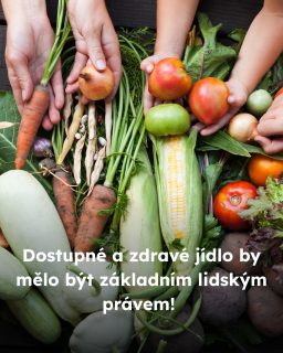 EU musí zjistit právo na potraviny systémově a podporovat zdravé, spravedlivé, humánní a udržitelné potravinové systémy pro současné i budoucí generace. Připojte se k Evropské občanské iniciativě. Odkaz najdete v biu! 

@goodfoodforall.eu 

 #oneheart #jsmevtomvsichnispolecne